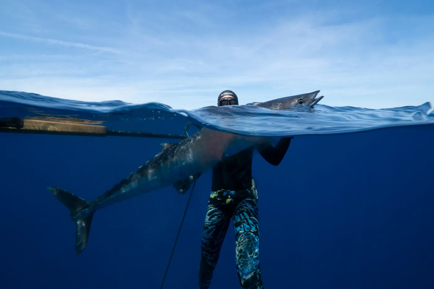 A diver at the surface with a fresh catch
