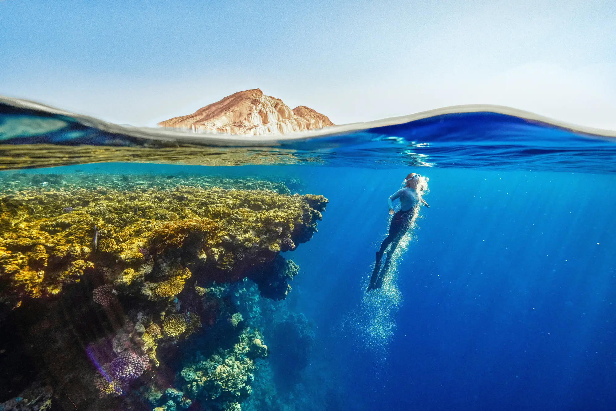 Un reef visto per metà sopra e per metà sotto la superficie dell'acqua