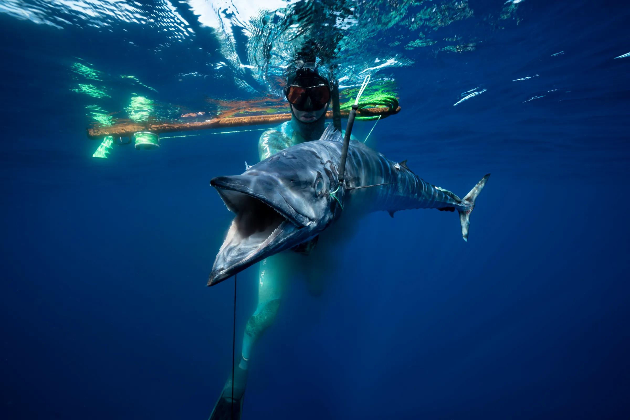 Un pescatore in apnea in superficie con una grossa cattura